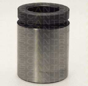 TRISCAN 8170 234217 Piston, brake caliper
